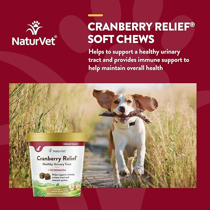 NaturVet – Cranberry Relief Plus Echinacea – Helps Support a Healthy Urinary Tract & Immune System – 60 Soft Chews