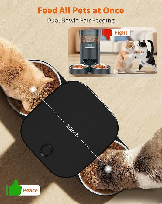HoneyGuaridan Automatic Cat Feeder for 2 Cats, Automatic Cat Food Dispenser, Timed Pet Feeder for Cats and Dogs, Desiccant Bag, Programmable Portion Control,10s Voice Recorder