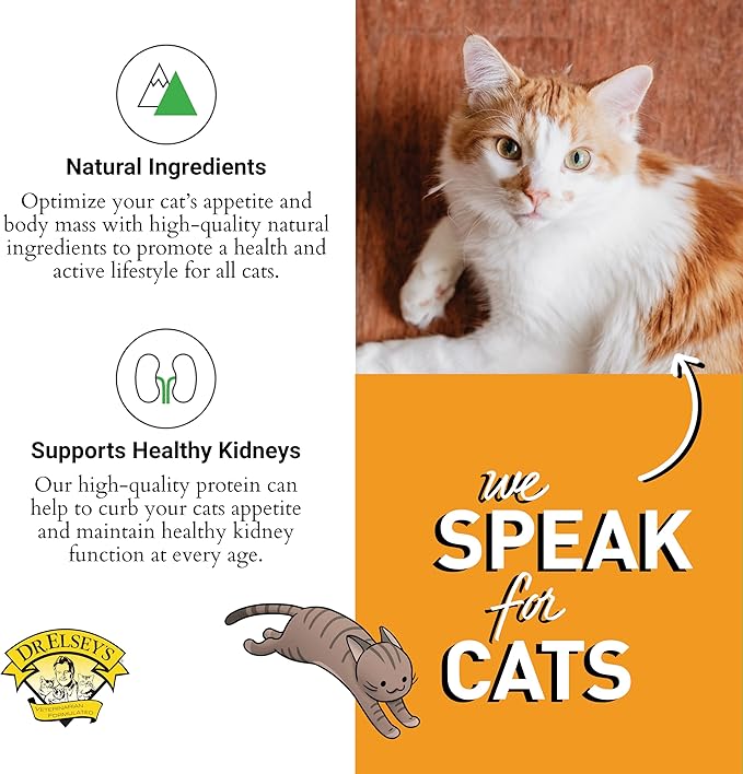 Dr. Elsey's cleanprotein Protein Bites Turkey 12 oz.