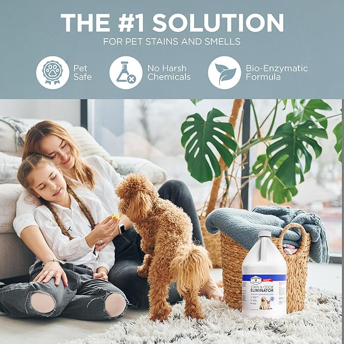 Professional Strength Pet Odor Eliminator | Urine Odor Remover | Pet Urine Enzyme Cleaner | Pet Stain and Odor Remover | Enzymatic Cleaner for Dog Urine and Cat Urine