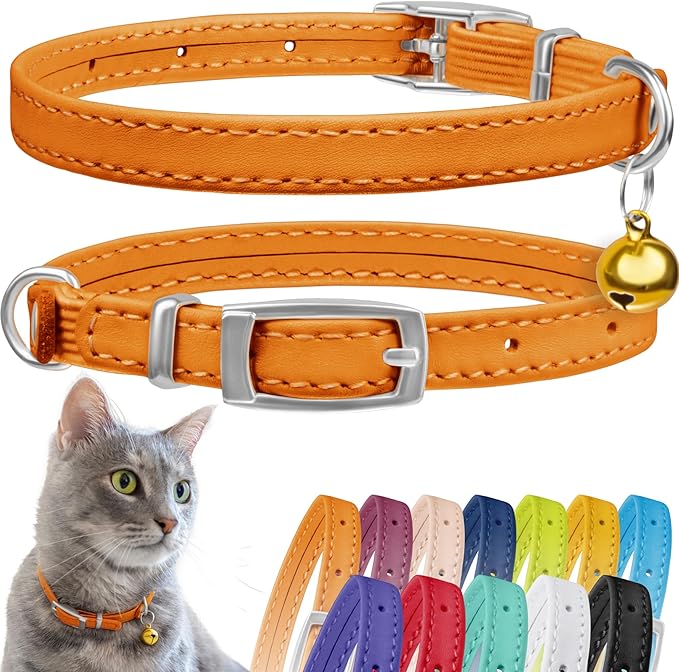 CollarDirect Leather Cat Collar with Bell - Kitten Collar, Small and Big Cat Strap for Boy Cats, Girl Cats with Safety Elastic Strap (Neck Fit 8"-11", Orange)