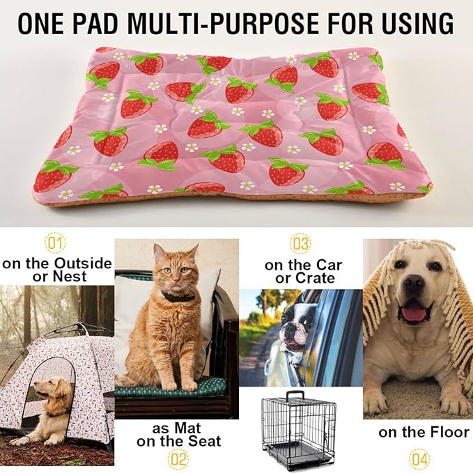 Strawberry Fruits Pet Bed Cute Dog Bed Mat Absorbing Non Slip Pad Pet Sleeping Mat for Small, Medium, and Large Dogs Puppy Cat 24 in x 18 in