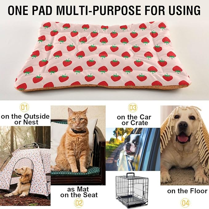 Pet Bed Strawberry Fruit Dog Bed Mat Absorbing Non Slip Pad Pet Sleeping Mat for Small, Medium, and Large Dogs Puppy Cat 36 in x 24 in