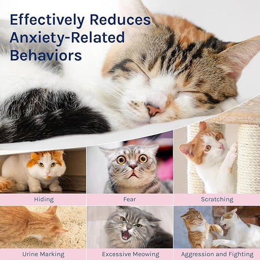Cat Calming Pheromones Diffuser: 2 Classic Cats Plug in Refill Diffusers for Relaxation & Comfort - Reduce Stress Barking & Scratching - Indoor 60 Days Supply