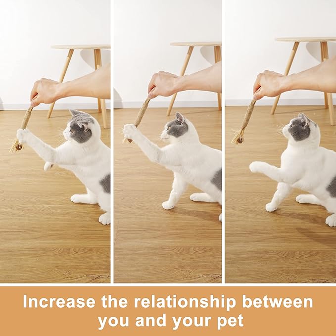 PAZ'S GIFT Cat Toys Catnip Toys Cat Kick Toy Natural Silvervine Catnip Sticks Kitten Teeth Molar Chew Toys, cat Indoor Toys Interactive cat Cleaning Teeth,Reduce Obesity and Loneliness 5-Pack