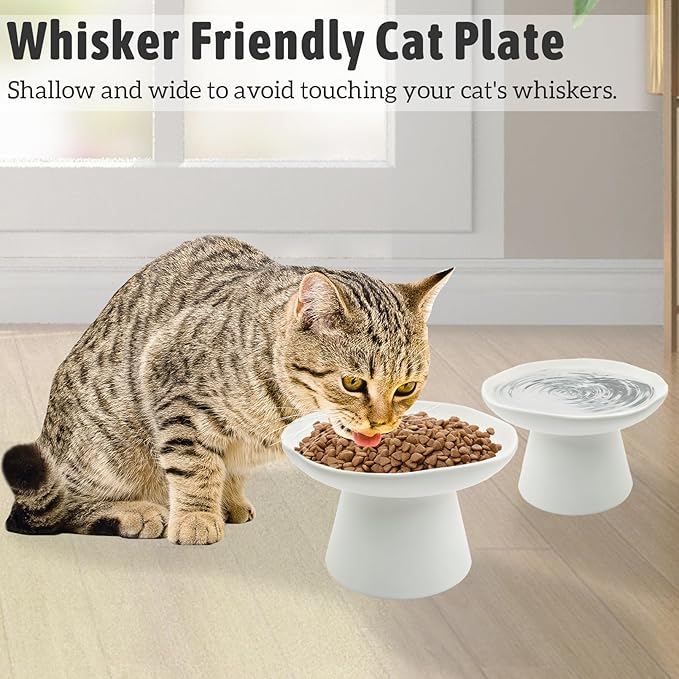 VCEPJH Raised Cat Food Bowls Shallow Cat Plate Pack of 2 Ceramic Elevated Cats Dish 6.1in Flat Anti Whisker Fatigue Wide Pet Food & Water Feeder for Indoor Kitty Kitten (White)