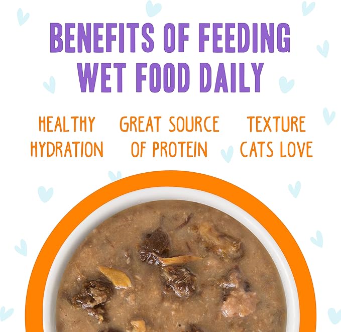 Weruva B.F.F. OMG - Best Feline Friend Oh My Gravy!, Purr-FECT Plannin'! with Chicken, Turkey & Salmon in Gravy Cat Food, 2.8oz Pouch (Pack of 12)