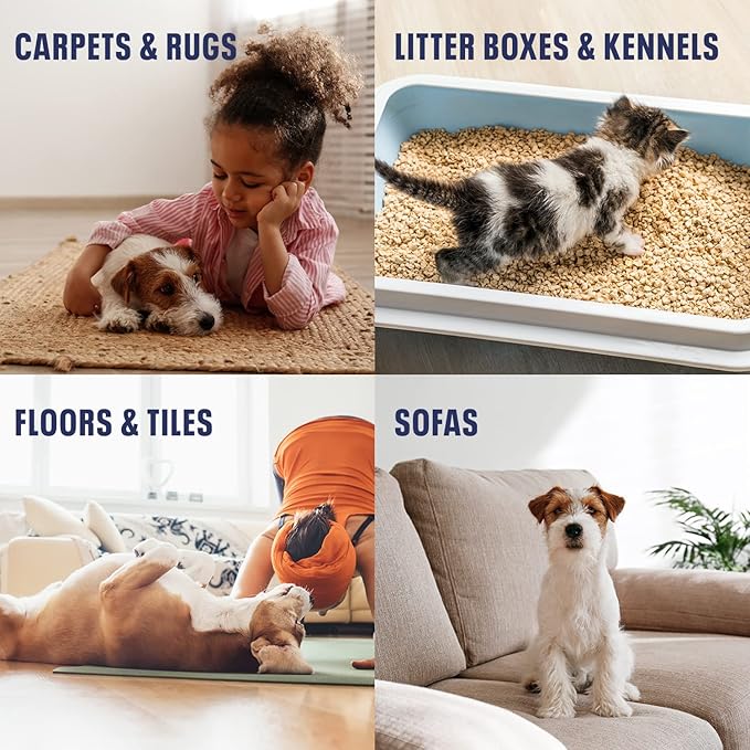 Bioesque Urine Neutralizer, Pet-Friendly Natural Enzymatic & Bacterial Formula, Instantly Breaks Down Urine Odors, Helps Prevent Repeat Mishaps, 32 Fl Oz (Pack of 6)