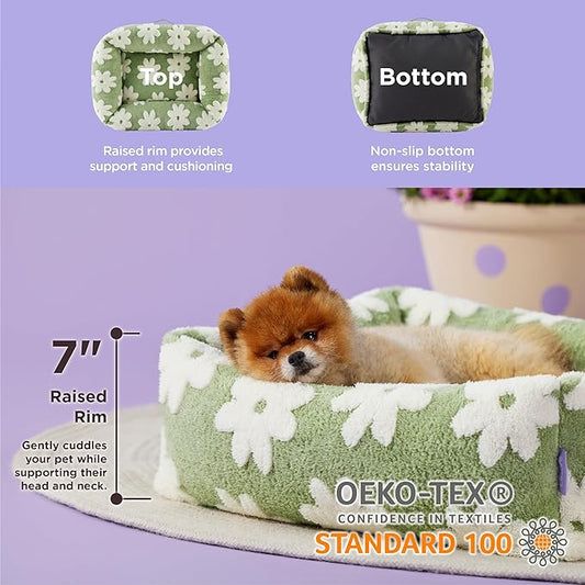 Lesure Cute Dog Bed for Small Dogs - Washable Puppy Beds,Cozy Rectangle Orthopedic Pet Sofa with Jacquard Shaggy Plush & Anti Slip Bottom,25x21x7inches