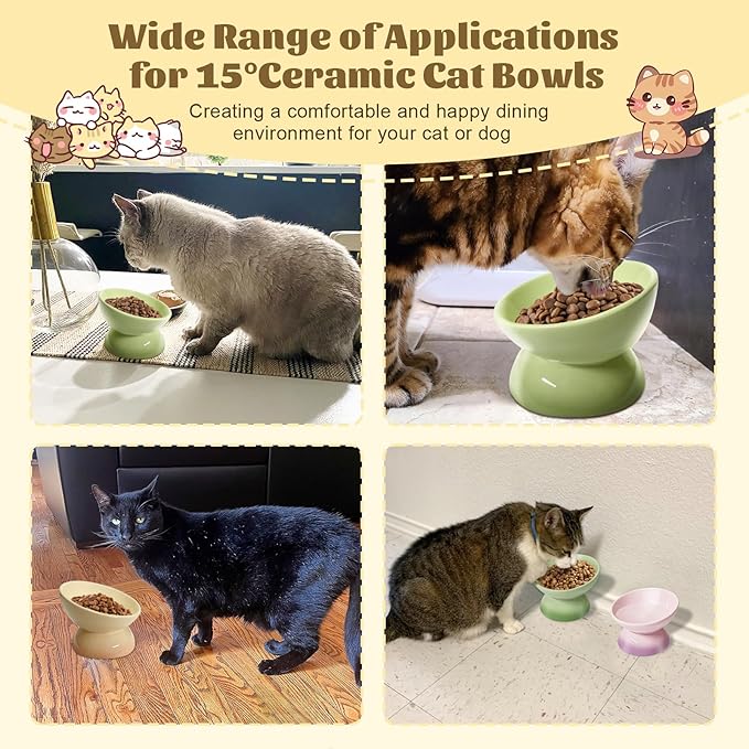 4Pcs Ceramic Raised Cat Bowl Elevated Cat Bowls Tilted Cat Food Dishes Pet Bowl Stand Feeder Cute Cats Bowl for Kittens Puppies Small Dog Whisker Fatigue Protect Kitten Spine(Gradient Color)