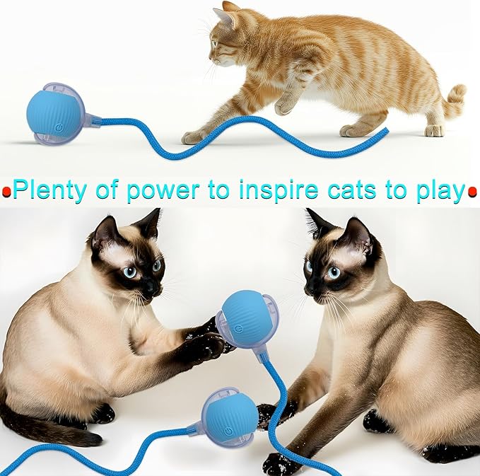 Interactive Cat Dog Toy Ball: Indoor Small Automatic Moving Smart Rolling Fun Pet Game with Led Light and String Tail for Motion Activated, Cute Kitten Puppy Present, Exercise Wheel Supplies (Blue)