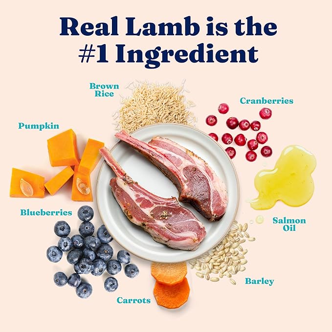 Solid Gold Dry Cat Food for Indoor Cats of All Ages - W/Lamb, Brown Rice, Barley, Probiotics & Fiber for Gut Health- Holistic & Healthy Cat Kibble for Kittens & Adults - Dry Kibble for Cats - 12 LB