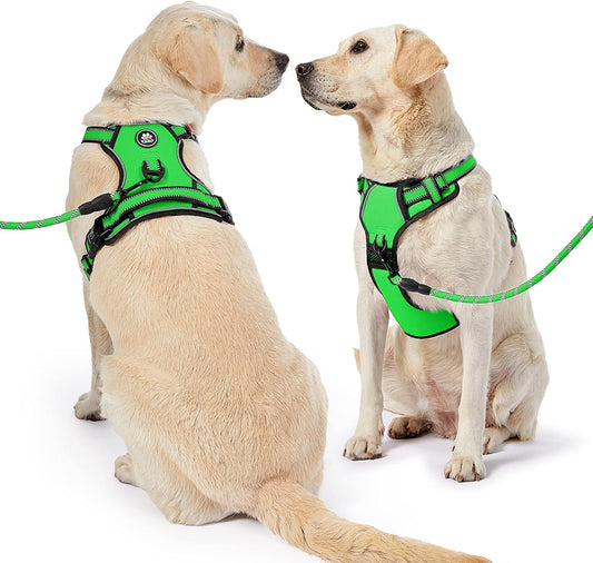 NESTROAD Dog Harness, Adjustable Oxford Harness with Leash, Reflective No-Choke Pet Vest with Easy Control Handle (M, Fluorescent Green)