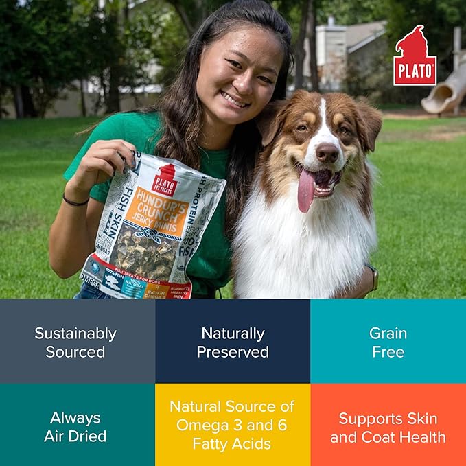 Plato Hundur's Crunch Jerky Minis 3.5oz