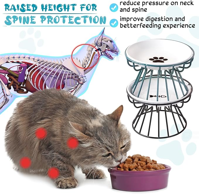 Roshtia 4 Sets Elevated Cat Bowls Ceramic Raised Cat Food Bowls with Metal Stand Dishwasher Safe Dishes Non Slip Elevated Food Plate(Black, Green,Fishbone, Paw)