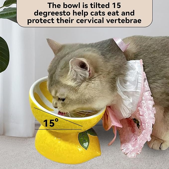Hamiledyi Ceramic Raised Cat Bowl Anti Vomiting Elevated Tilted Cat Food & Water Bowls 2PCS Pet Feeder Dish for Indoor Kitty and Small Dogs(Lemons & Pitaya)