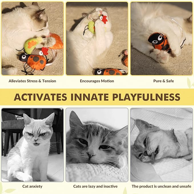 3-Pack Catnip Toys for Cats – Plush Cat Toys with Organic Catnip, Interactive Cat Toys for Indoor Cats, Snail, Rooster & Ladybug Shapes