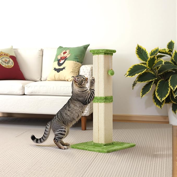 Cat Scratching Post with Hanging Toy Ball, 32-Inch Tall Sisal Cat Scratcher for Indoor Cats, Green