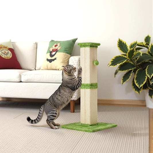 Cat Scratching Post with Hanging Toy Ball, 32-Inch Tall Sisal Cat Scratcher for Indoor Cats, Green