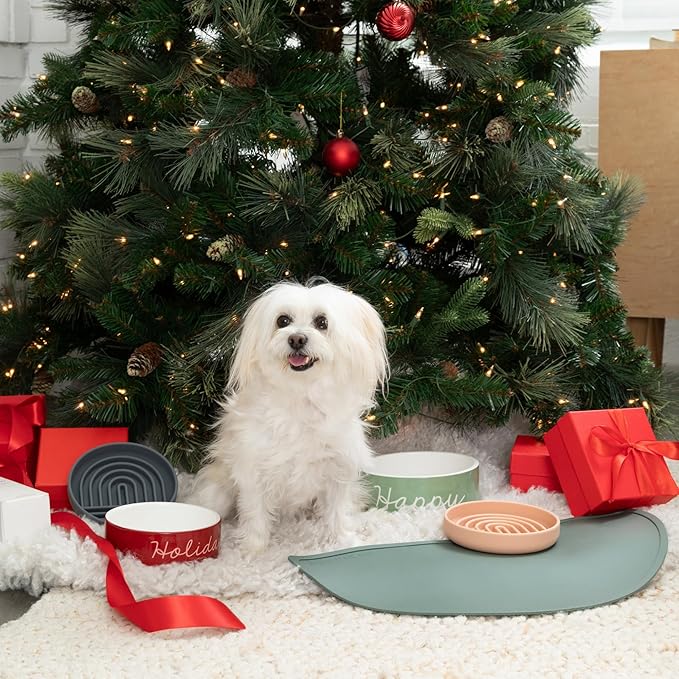 Waterproof Silicone Pet Food Mat - Non-Slip Spill-Proof Feeding Mats for Floors, Raised Edge Design Easy-to-Clean Rubber Mat for Dog & Cat Bowls, 28" Across x 14" Deep, Large-Terracotta