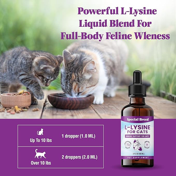 Special Breed L-Lysine for Cats & Kittens – Immune, Respiratory & Eye Health Support – Liquid Cat Supplement with Astragalus, Burdock, Atractylodes, Dangshen & Vitamins A, B1, B2, B6 – 2oz (60mL)