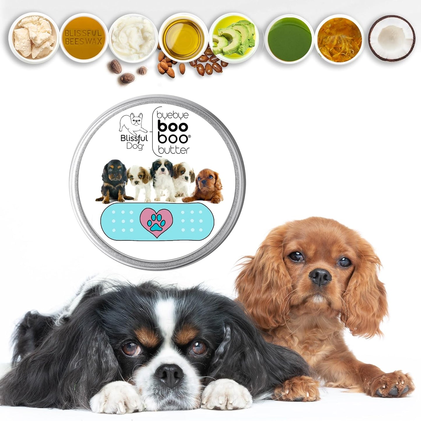 The Blissful Dog 2 oz TIN Cavalier King Charles Spaniel Booboo Butter