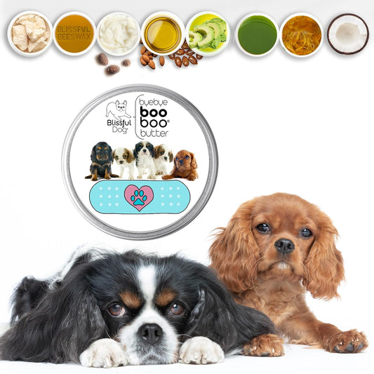 The Blissful Dog 2 oz TIN Cavalier King Charles Spaniel Booboo Butter