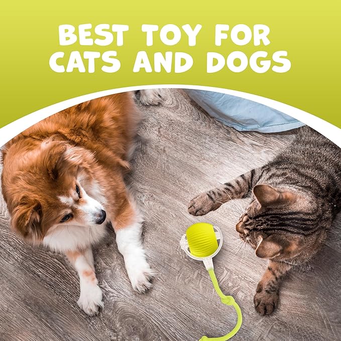 Pawlo Speedy Tail 2.0 Cat Toy –Teazys Turbo Tail Upgrade – Interactive Cat Toy – Kitten Toys – Automatic cat Toy for Boredom – Moving cat Toys for Indoor Cats with 2 Tails (Yellow)