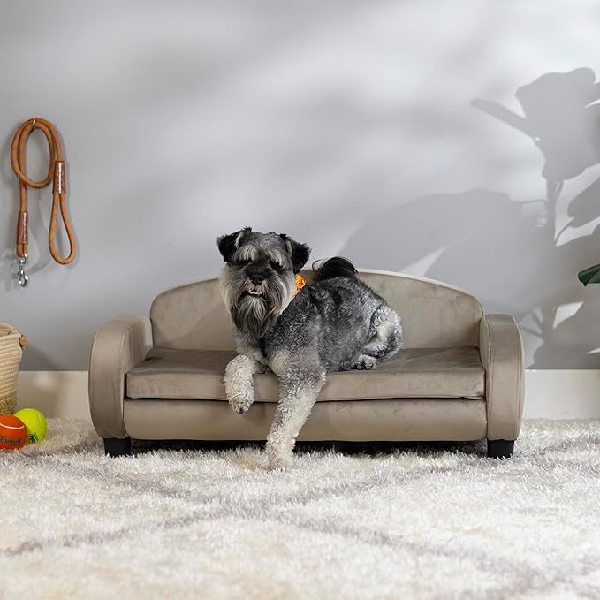 Paws & Purrs Multi-Cat Sofa Elevated Pet Bed for Indoor Cats Raised Cats Couch with Removable Washable Mattress Cover for Kittens, Dogs - 35.5" Wide, Ash