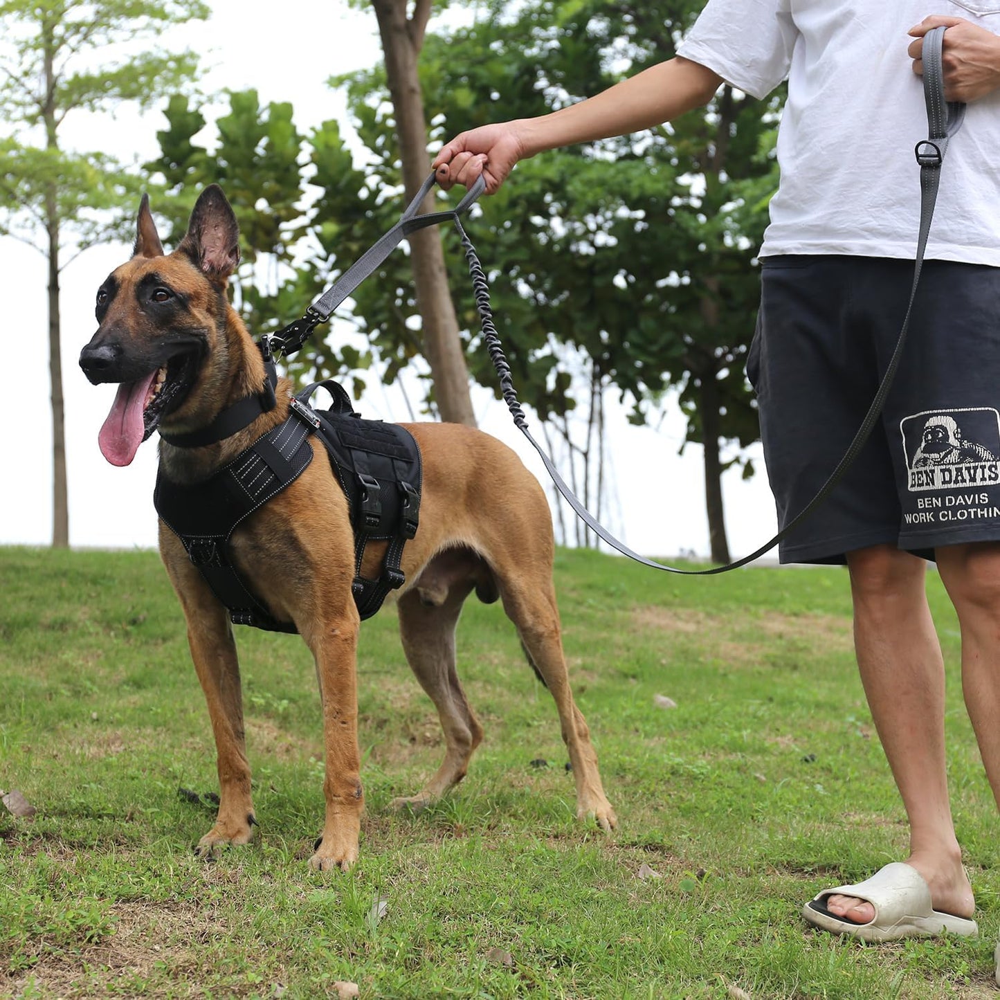 ICEFANG Tactical Dog Leash,K9 Training Walking Bungee Lead with 2 Control Handle,Heavy Duty Quick Release Metal Clasp,for Medium Large Breed (Reflective Grey, 6 FT)