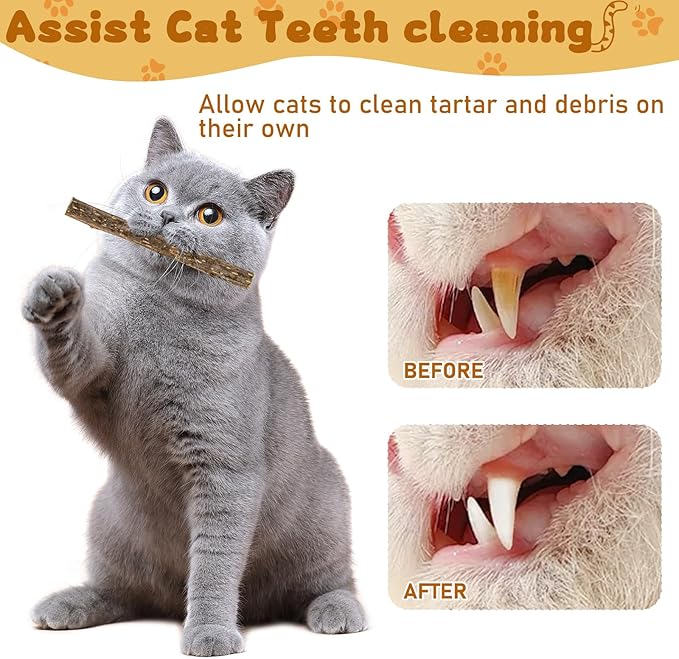 Silvervine Sticks for Cats, Natural Catnip Matatabi Chew Sticks Teeth Molar Chew Toys for Cat Kitten Kitty (25 PCS)