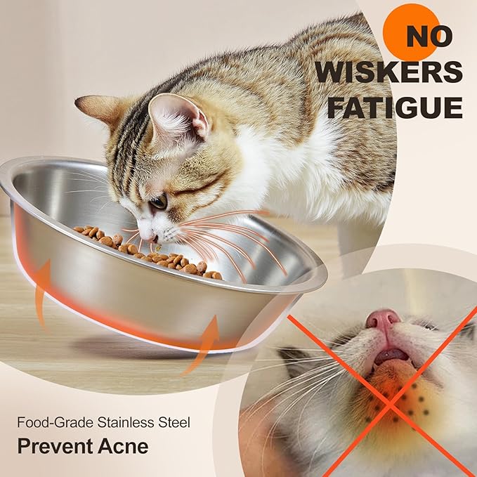 Elevated Cat Food Bowls with Mat Whisker Friendly, 15°Tilted Raised 3 Stainless Steel Cat Water Dishes Set for Anti Vomit, Pet Holder Stand Feeding Station for Indoor Kitten and Puppy