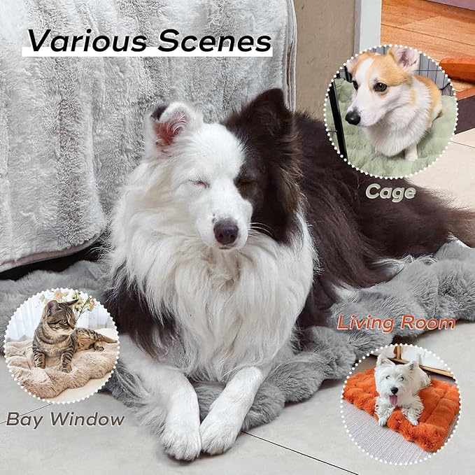 Cat Beds Cozy Pet Mat Faux Fur Kitten Pad Bed for Carriers/Couch Dog & Puppy Cute Friendly 23 x 15 Inch Medium White