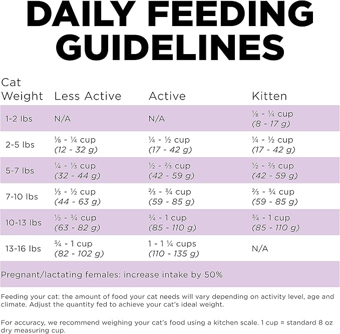 Go! Solutions Carnivore, Grain-Free, Protein Rich Dry Cat Food, Chicken, Turkey and Duck Recipe, 8 lb Bag