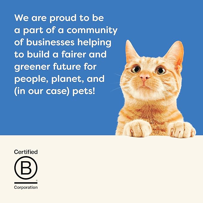 Applaws Natural Wet Cat Food in Broth, Limited Ingredient Canned Wet Cat Food, No Additives, Made with Natural Ingredients, Tuna Fillet & Shrimp in Broth (6 x 5.5oz Cans)