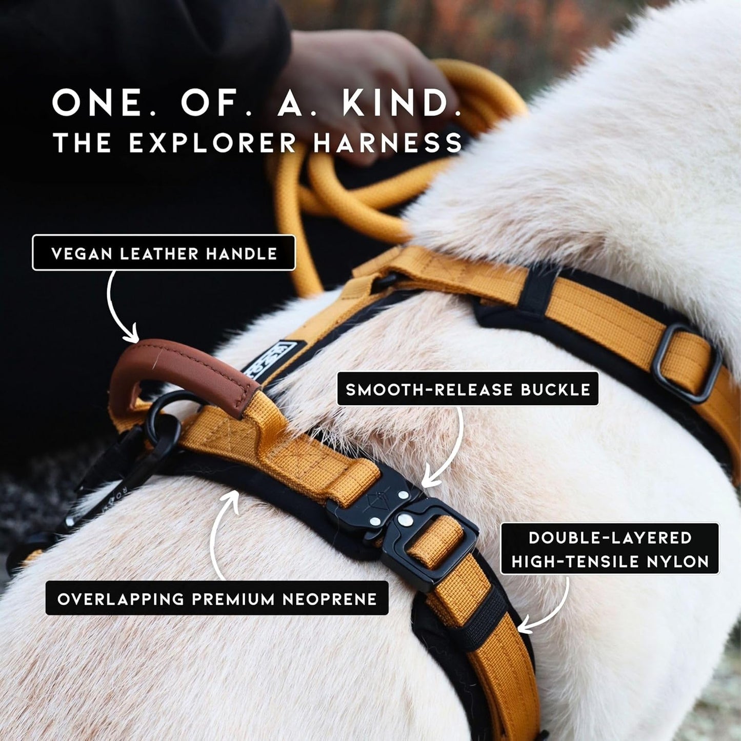 MADE TO ROAM Premium Explorer Harness - Y-Shaped Dog Harness with Adjustable Durable Nylon, Soft Padding, Metal Buckles and Leather Handle for Small, Medium, Large Dogs (Colorado Nightsky, Size 1)