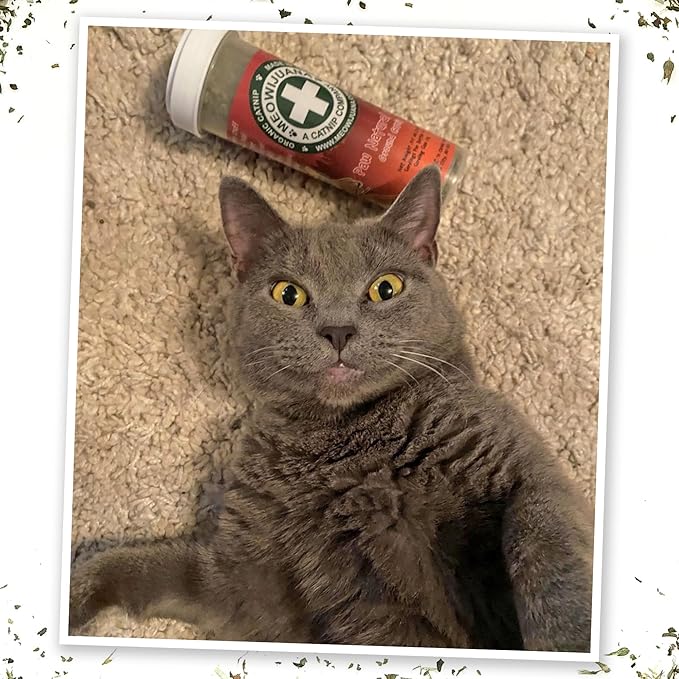 Meowijuana Clawsome Bundle | Get Smoked Refillable Trout Toy and Paw Natural OG Catnip Blend | Promotes Play and Cat Health | Includes North American Organic Catnip