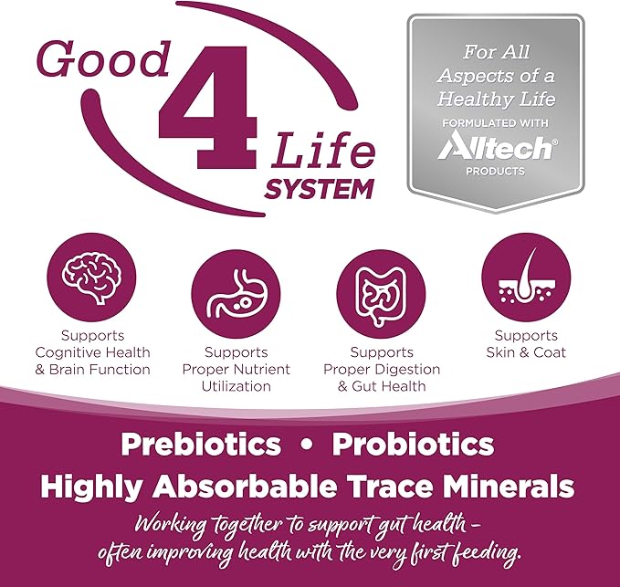 NutriSource Cat & Kitten Food, Chicken & Rice, 12LB