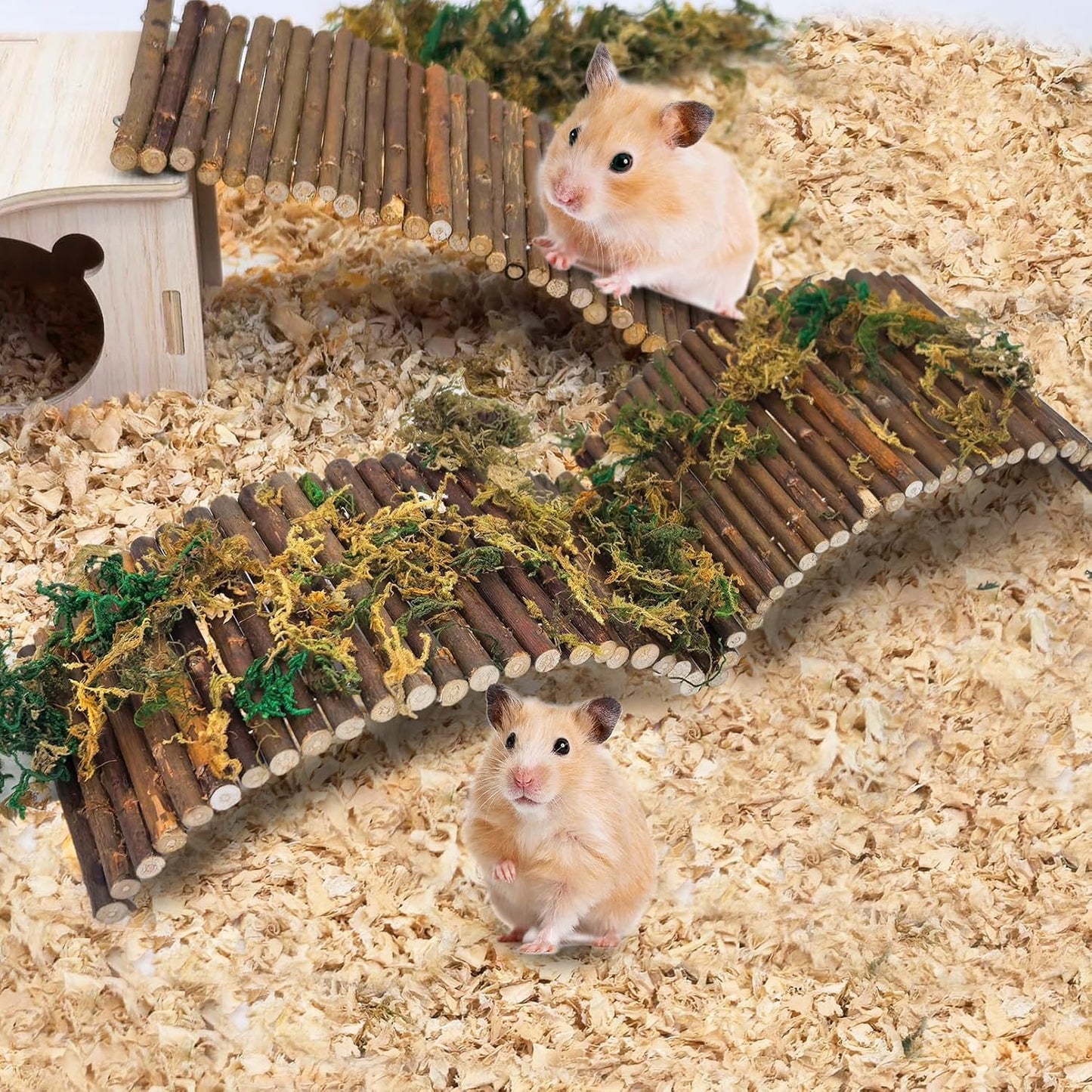PINVNBY 8 PCS Hamster Wooden Ladder Bridge Tunnel Hide, Hamster Cage Accessories for Chinchillas Guinea Pigs Mouse Rat Ferre, Rodents Natural Hideout for Small Animals