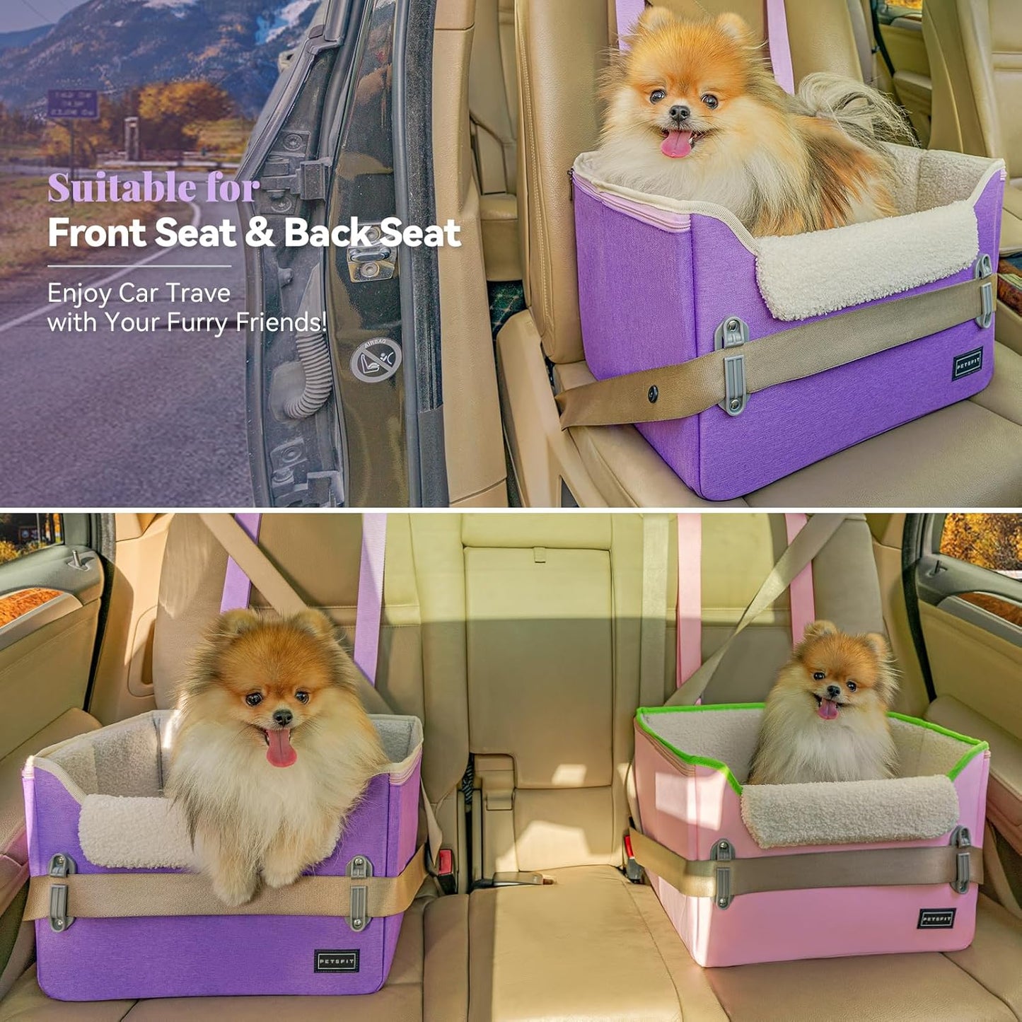 PETSFIT Small Dog Car Seat, Patent Safe Buckles Dog Booster Car Seat, Dogs Carseat with Safety Belt, Suitable for Small Pets Up to 25lbs (Purple)