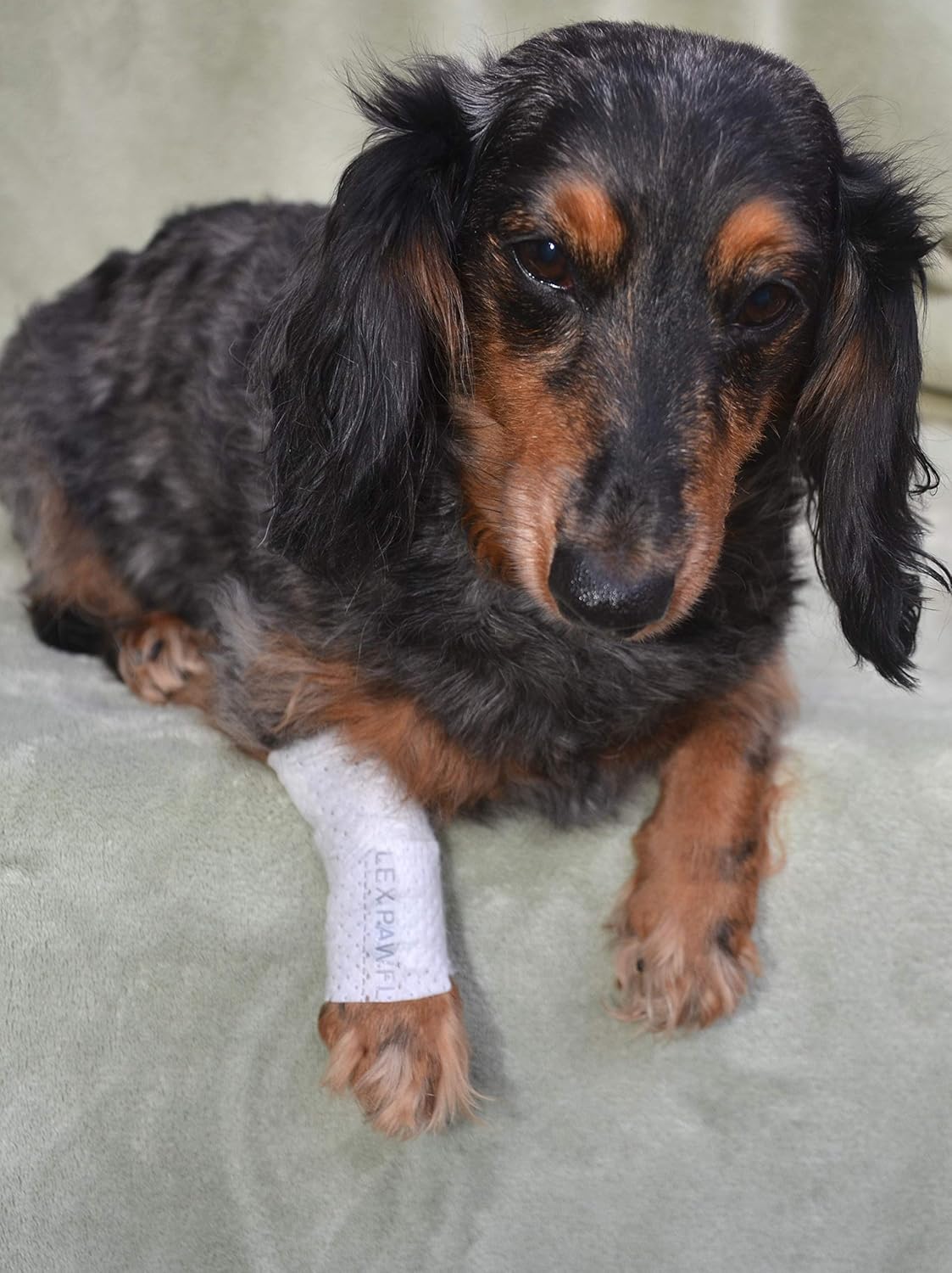 Protective Sleeve Tubular Cover - Bandages - for Dogs Cats & Other Pets First Aid Wound Care Non-Adhesive Disposable Breathable Water Resistant 7 Strips (yields 14-21 Covers) (Small 12pk)