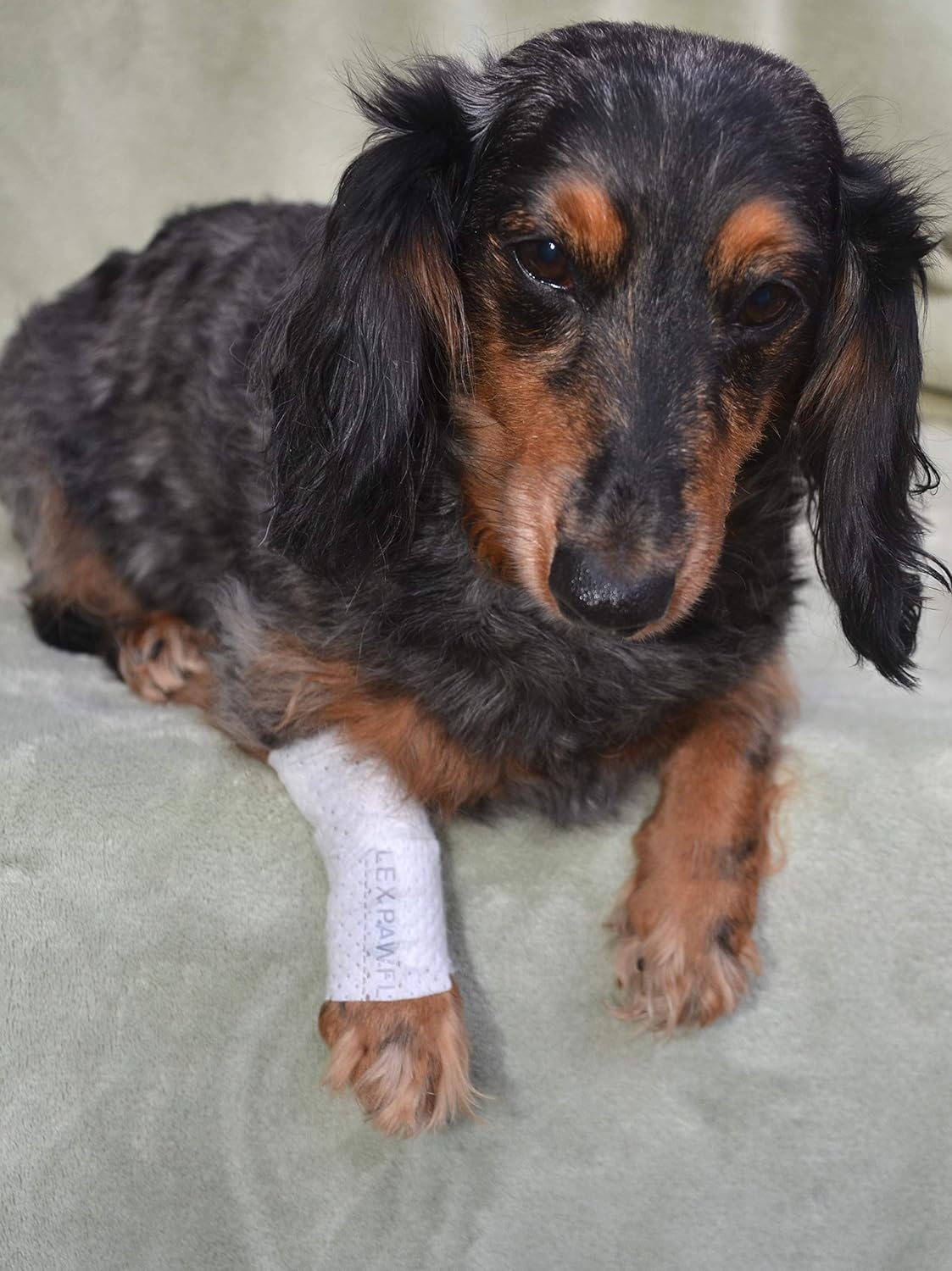 Protective Sleeve Tubular Cover - Bandages - for Dogs Cats and Other Pets First Aid Wound Care Comfortable Non-Adhesive Breathable & Water Resistant 18 Strips (yields 36-54 Covers)-(Large)