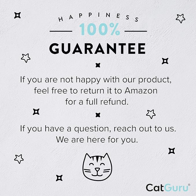 CatGuru Cat Bowls, Whisker Friendly Cat Food Bowl for Indoor Cats, Reliefs Whisker Fatigue, Wide Pet Bowl, Non Slip Pet Feeding Bowls, Shallow Kitten Dish (Stainless Steel)