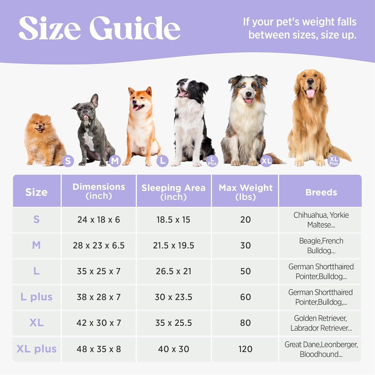 LE SURE Cute L-Plus Dog Beds, Orthopedic Waterproof Large Pet Bed with Sides, Non-Slip Bottom and Egg-Crate Foam Dog Couch Sofa with Washable Removable Cover, Blue