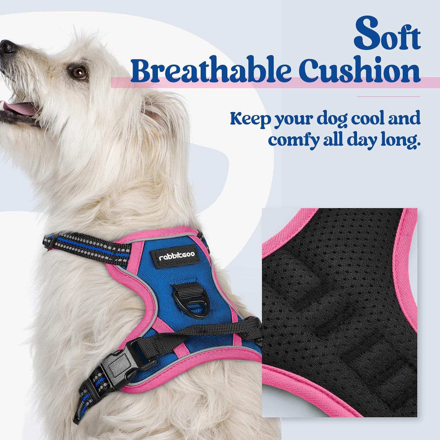 rabbitgoo Dog Harness No Pull with 2 Leash Clips, Adjustable Soft Padded, Reflective Oxford No Choke Pet Vest with Easy Control Handle for Large Dogs, Blue & Hot Pink, XS