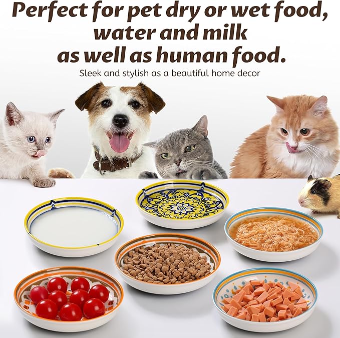Cat Bowls, Non-Slip Ceramic Cat Food Bowl Set with Silicone Base, Whisker Friendly Cats Dishes, 6 Pack Cute Plates for Feeding Indoor Cats, Kitten, Small Dogs (Multi6, Deeper)