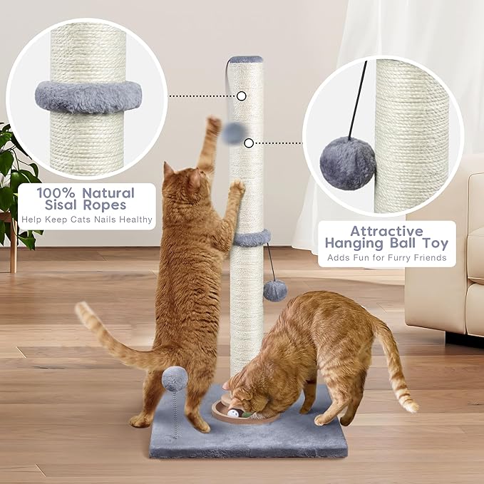 31" Cat Scratching Post Kitten Toys for Indoor Cats, Interactive Cat Scratcher with Catnip Balls, Sisal Scratch Rope for Large Cats, Grey