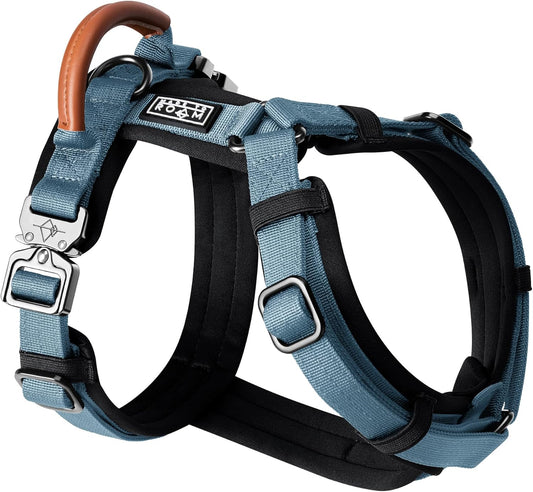 MADE TO ROAM Premium Explorer Harness - Y-Shaped Dog Harness with Adjustable Durable Nylon, Soft Padding, Metal Buckles and Leather Handle for Small, Medium, Large Dogs (California Horizon, Size 2)