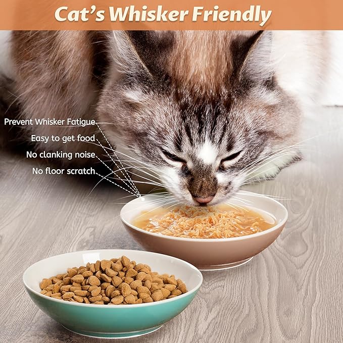 Cat Bowls, Ceramic Cat Food Bowl Set with White Silicone Ring for Non Slip, Cute Cats Dishes or Plates for Feeding Indoor Cats, Kitten, Small Dogs (Multicolored 4 Pack-Cute Pet, 5.5 Inches)