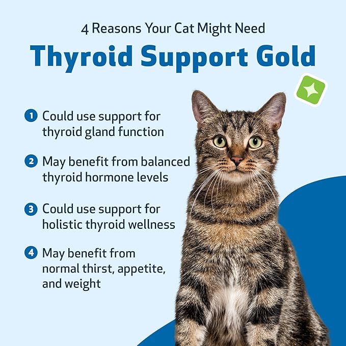 Pet Wellbeing Thyroid Support Gold for Cats - Supports Healthy Thyroid Gland Function in Cats, Normal Metabolism, Bugleweed, Lemon Balm - Veterinarian-Formulated Herbal Supplement 4 fl oz (118 ml)